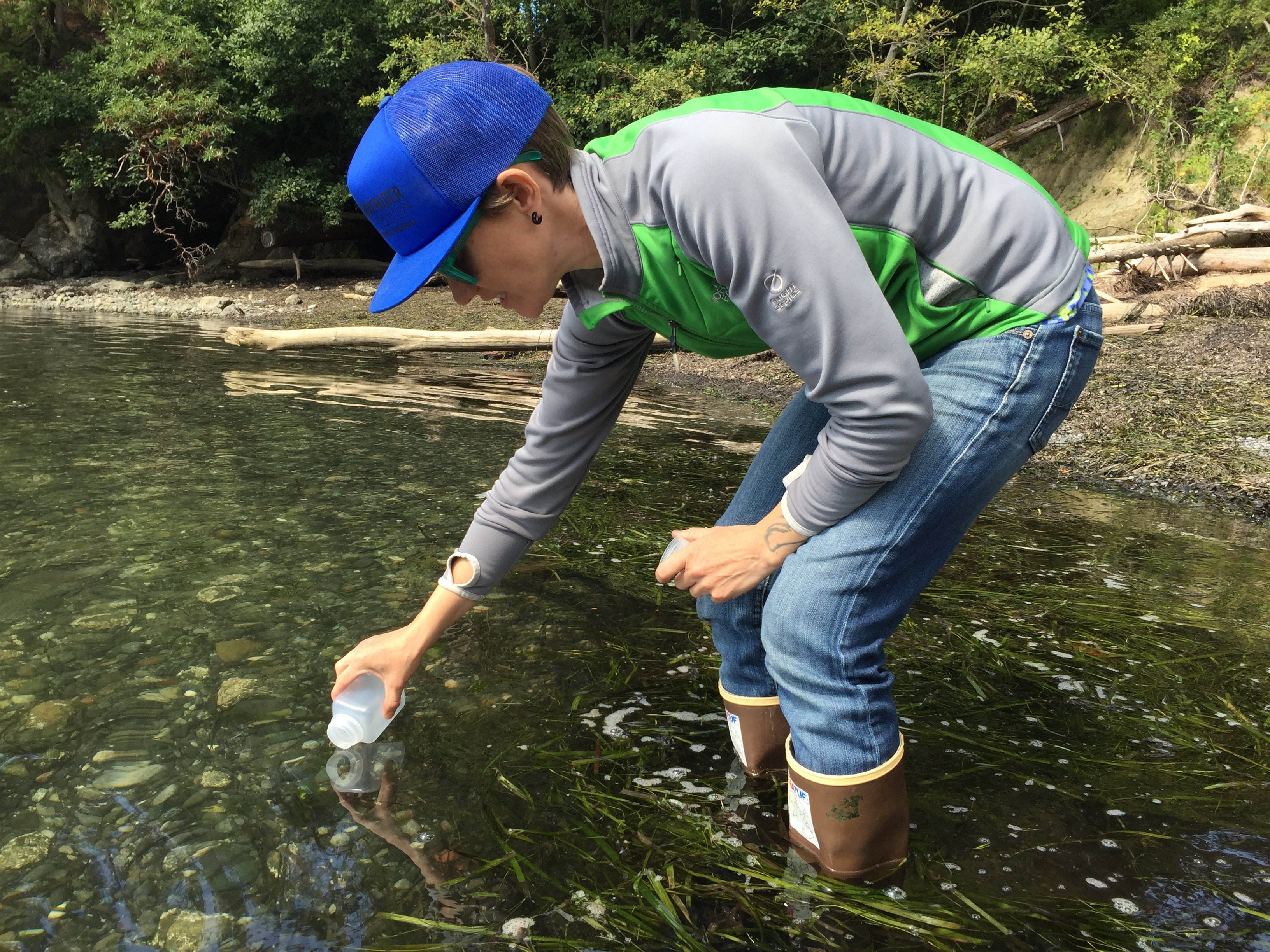A volunteer collects a water quality sample