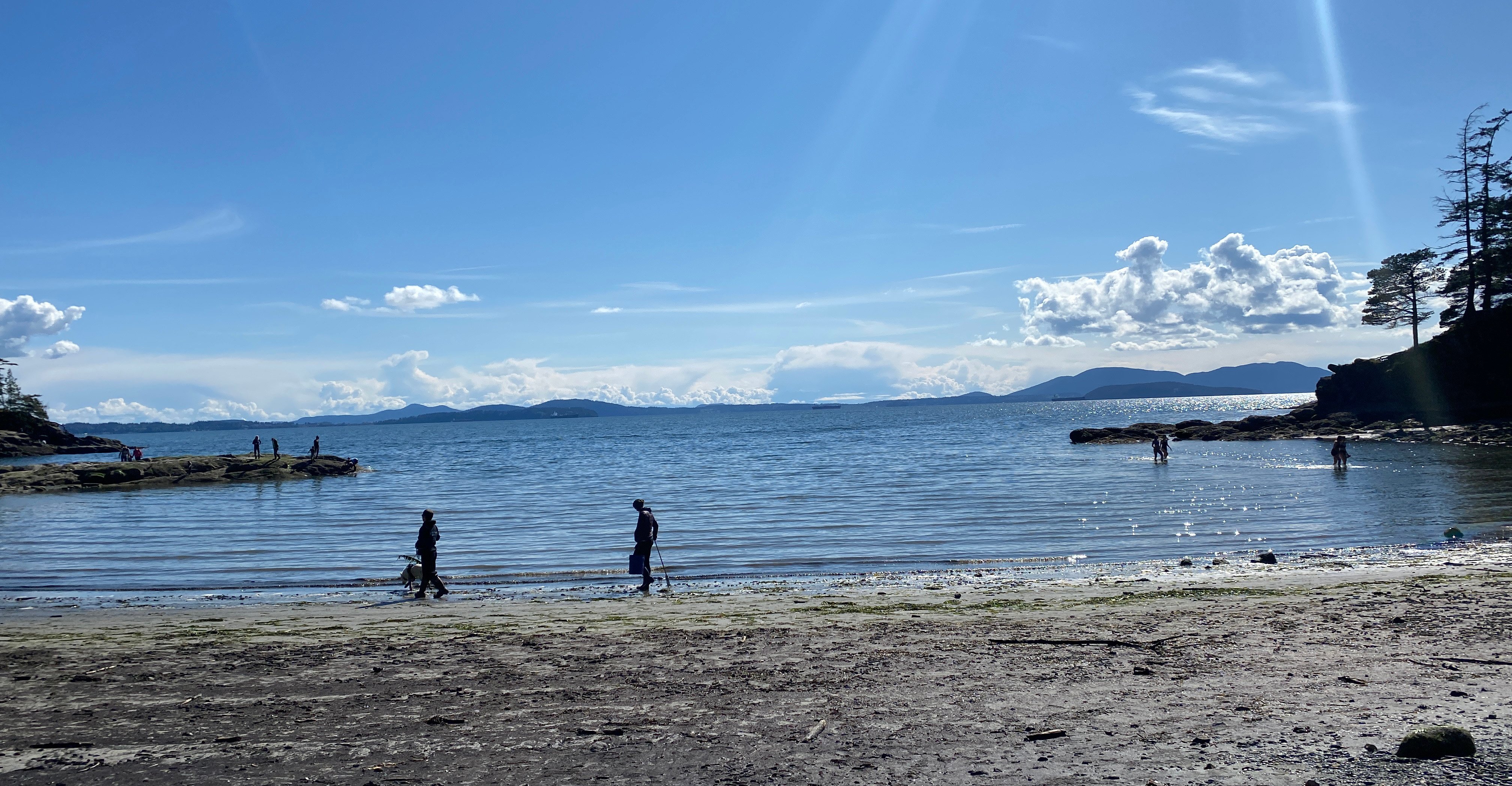 surfrider-northweststraits-volunteers-on-a-beachcoleectingtrash